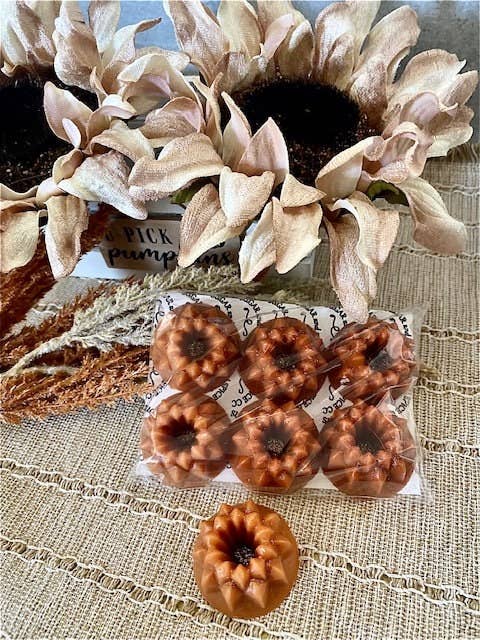 Pumpkin Spice Cake Wax Melts
