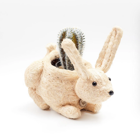 Baby Bunny Planter