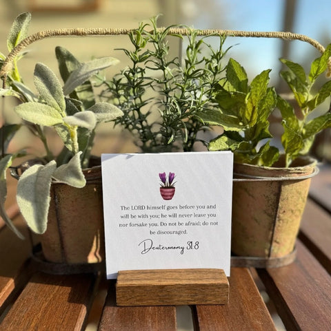 All Occasion Notecards