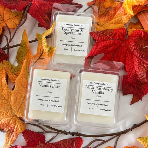 Cozy Scented Wax Melts