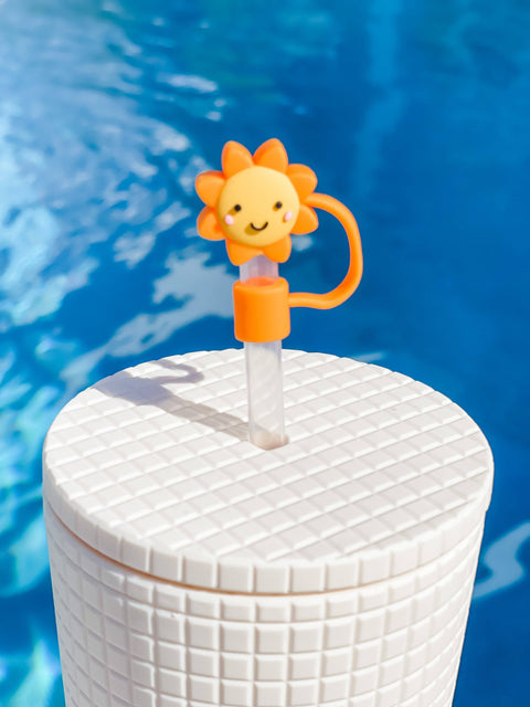 Sun Straw Cover