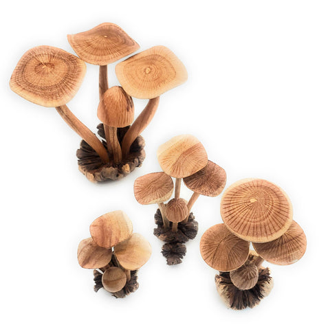 Small Wooden Mushroom Hand Carved