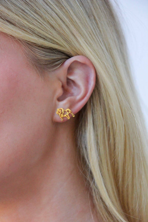 Bulldog Earrings | Gold Stainless Steel Bulldogs