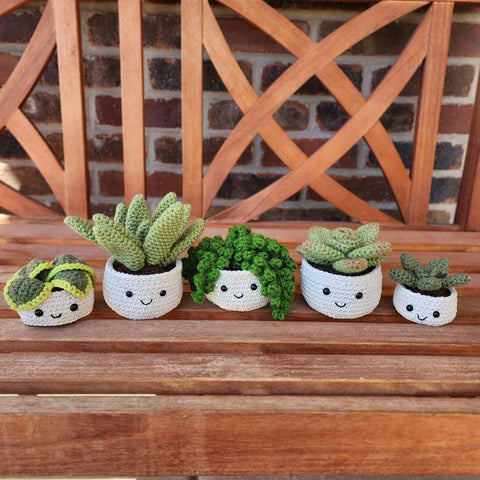Crochet Succulent Houseplant
