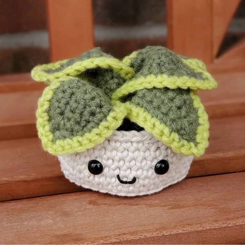 Crochet Succulent Houseplant