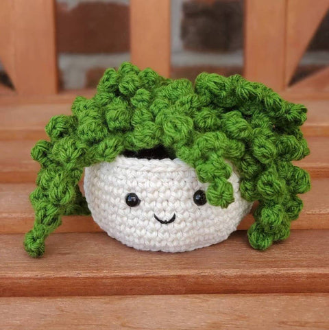 Crochet Succulent Houseplant