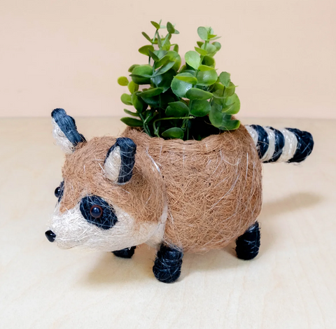 Baby Raccoon Planter
