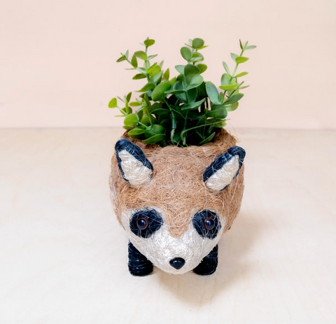 Baby Raccoon Planter