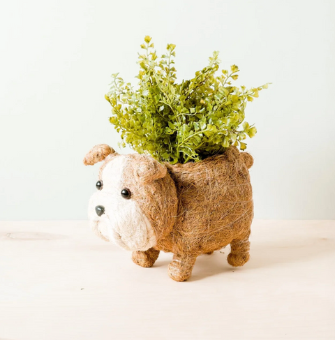 Bulldog Planter