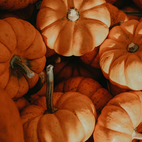 Pumpkins & Pastries: Add-On Extra PUMPKINS