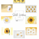 Sunflower Notecards