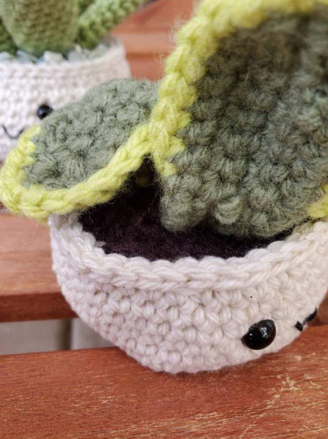 Crochet Succulent Houseplant