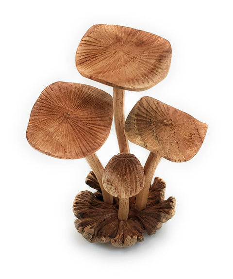 Medium Wooden Mushroom Hand Carved